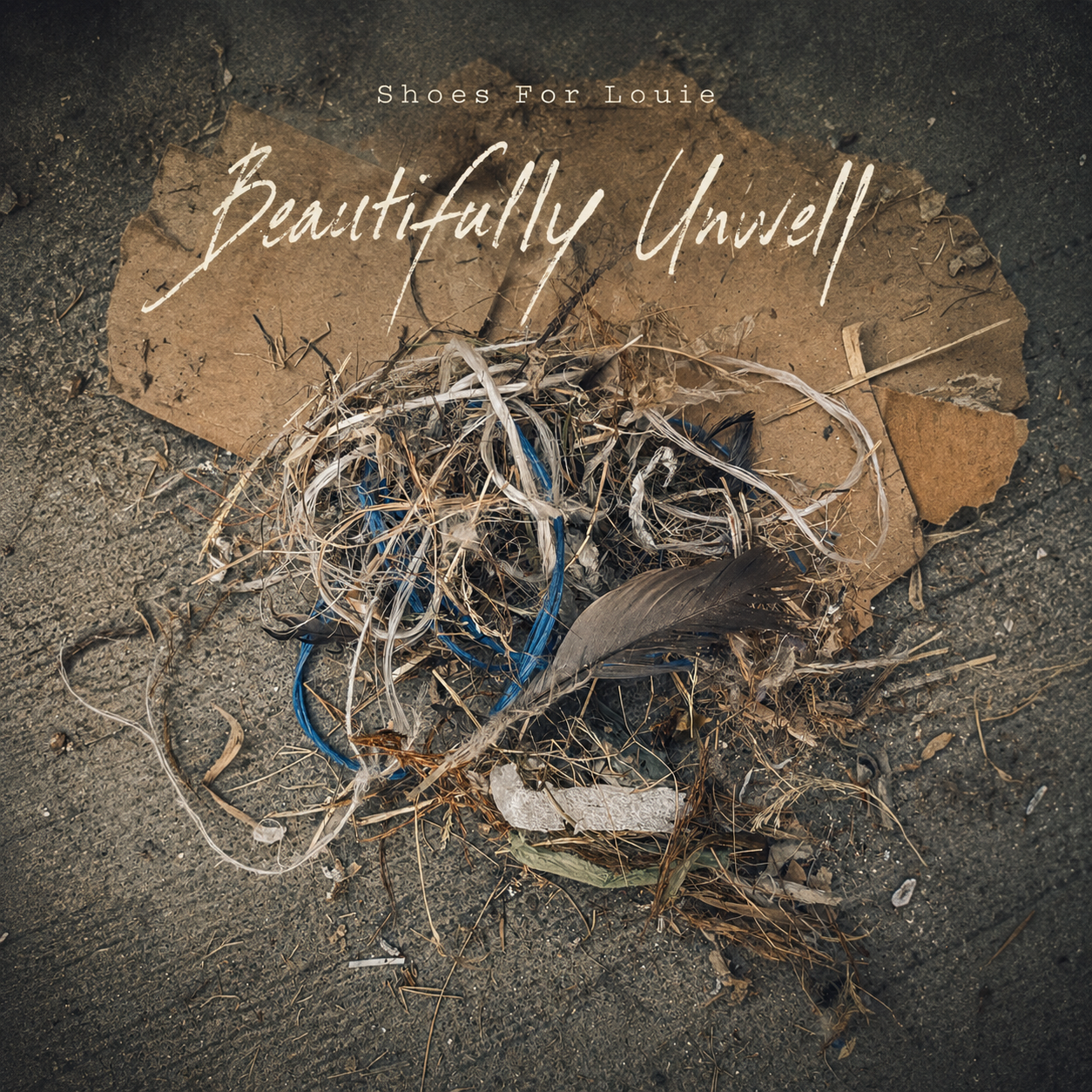 Beautifully Unwell cover